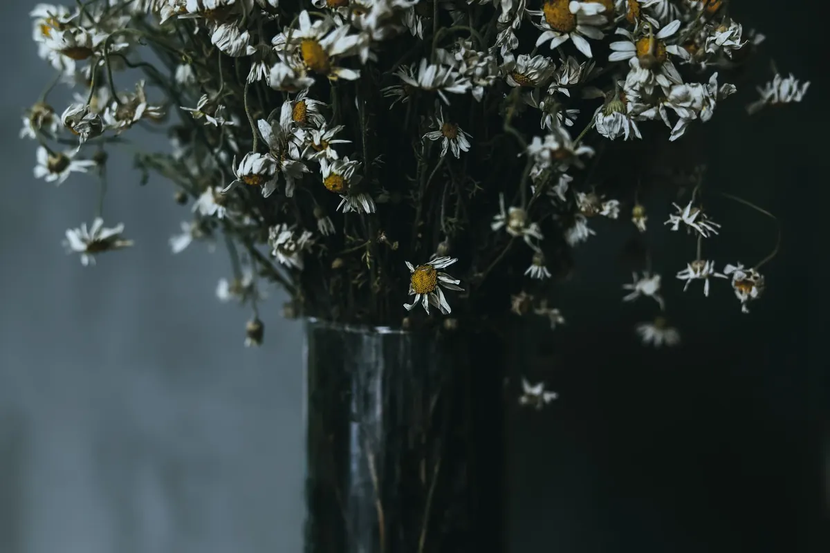Common Flower Care Mistakes: Why Your Bouquet Wilts Early and How to Fix It